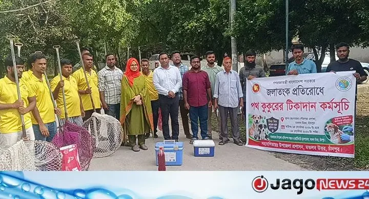 চাঁদপুরে ৩ শতাধিক পথ কুকুরকে দেওয়া হবে জলাতঙ্ক টিকা